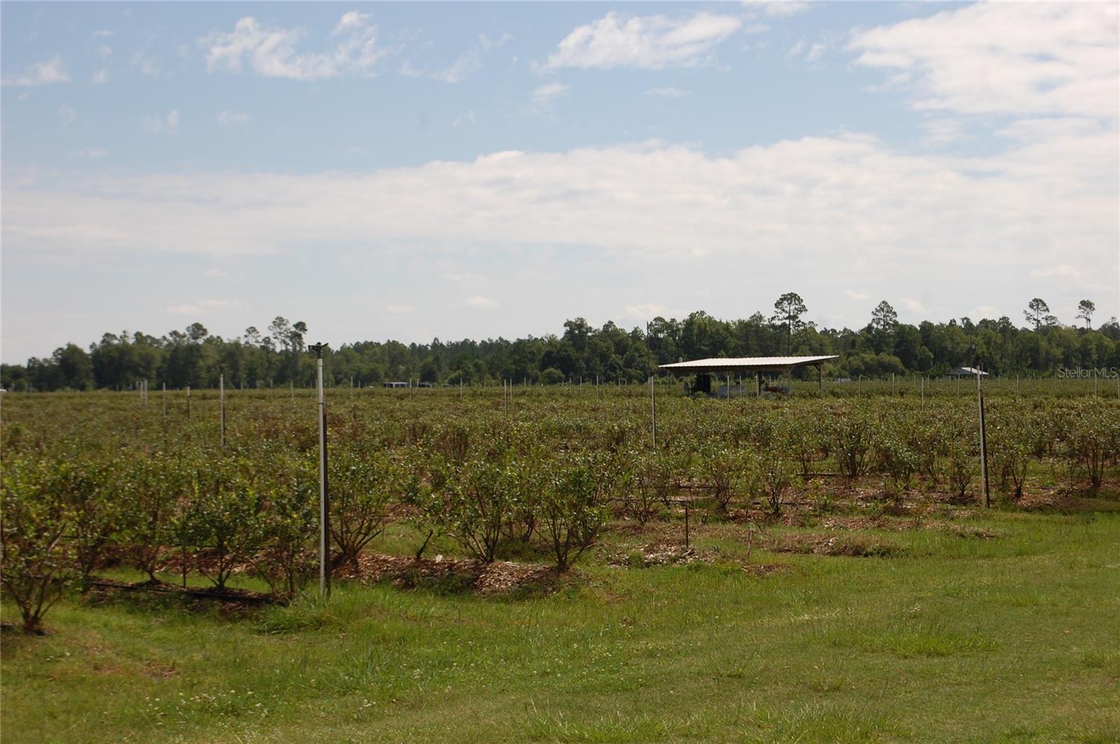 Image 7 of 91 For 18811 243rd Street