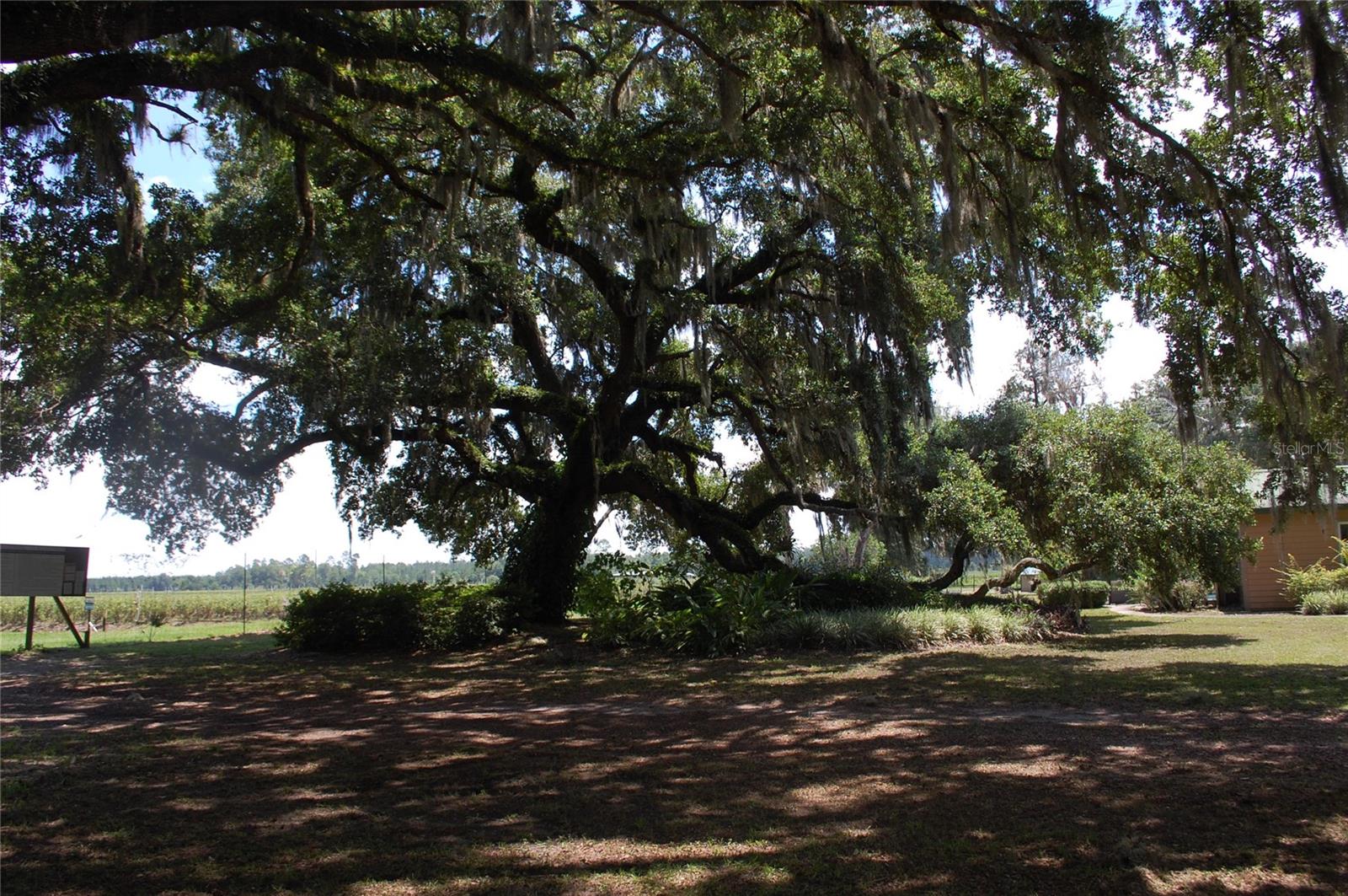 Image 77 of 91 For 18811 243rd Street