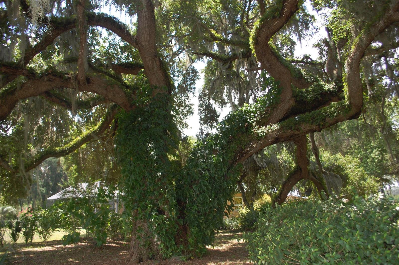 Image 78 of 91 For 18811 243rd Street