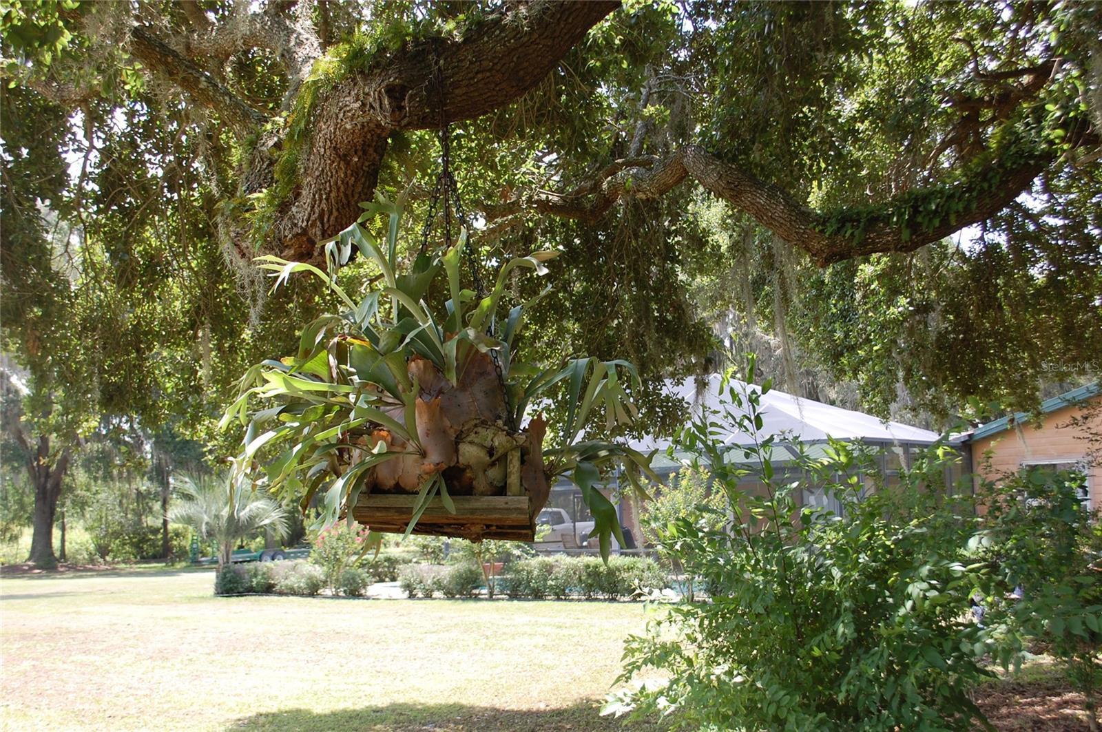 Image 79 of 91 For 18811 243rd Street