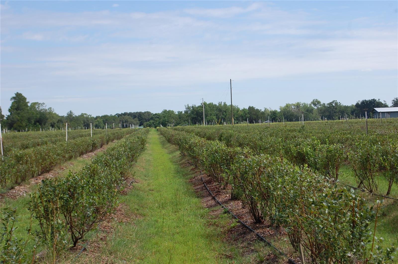 Image 8 of 91 For 18811 243rd Street