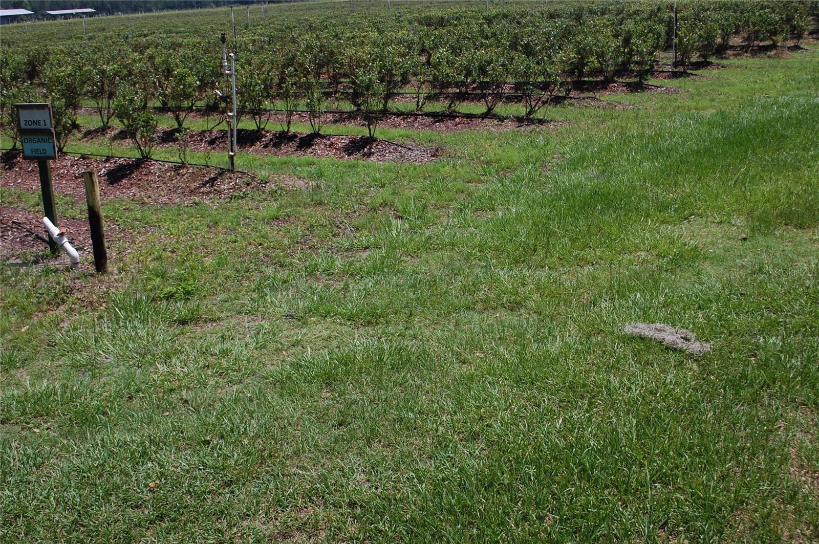 Image 80 of 91 For 18811 243rd Street