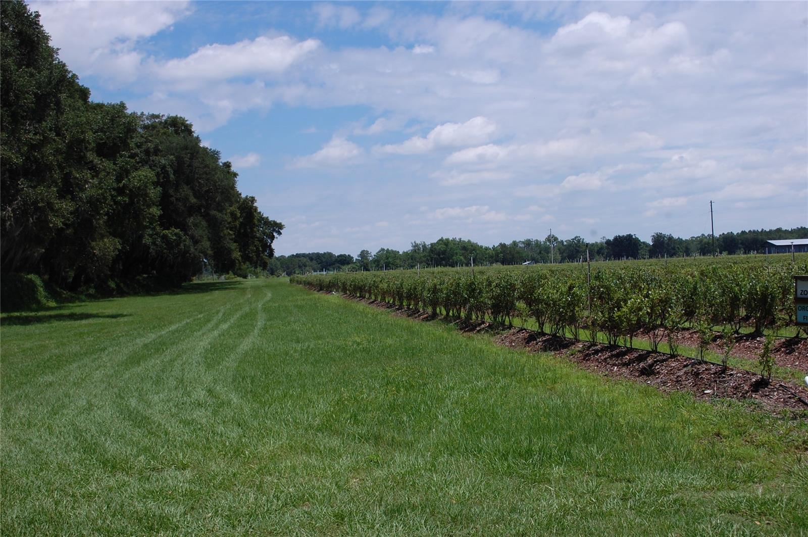 Image 81 of 91 For 18811 243rd Street