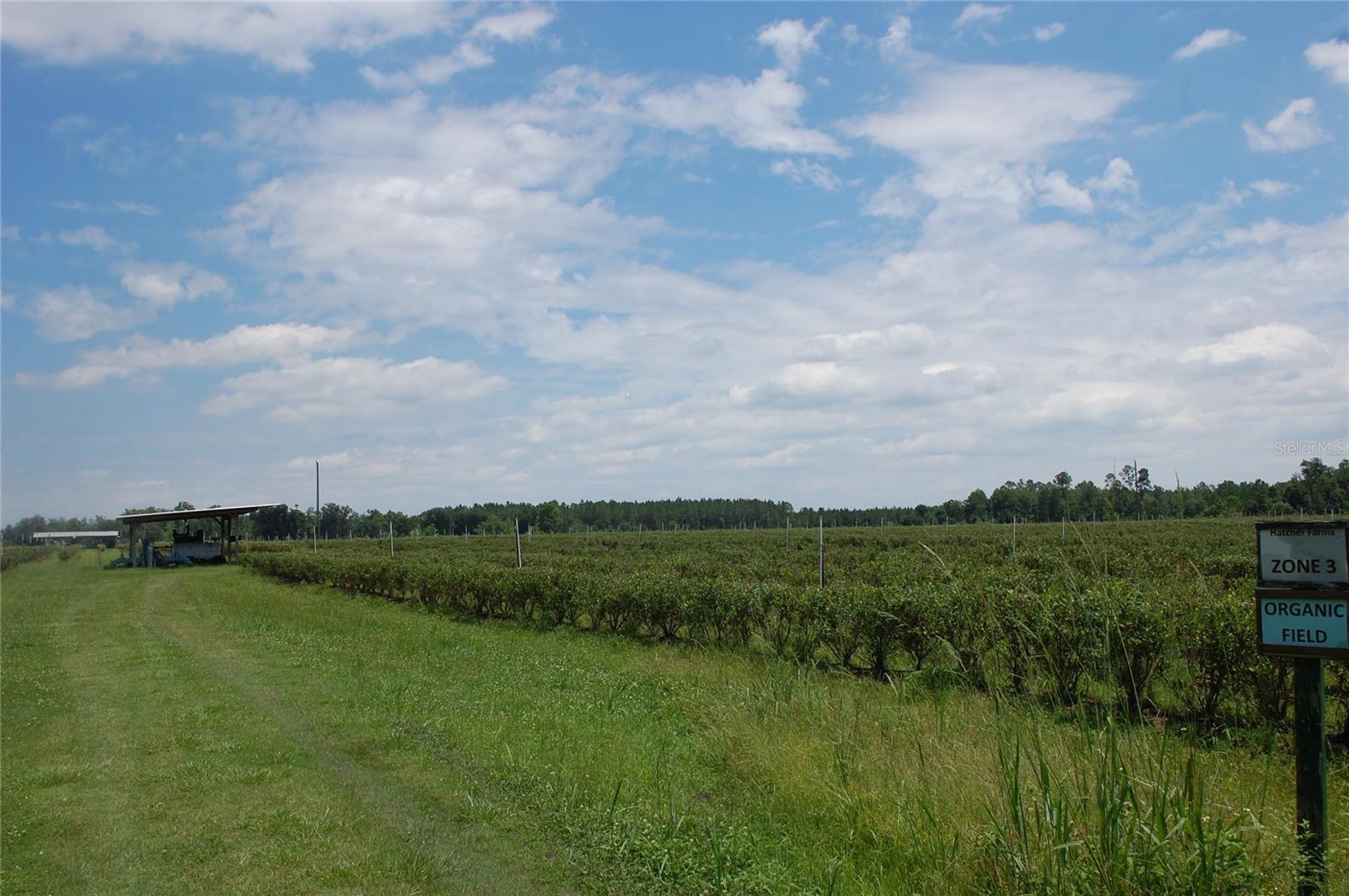 Image 83 of 91 For 18811 243rd Street