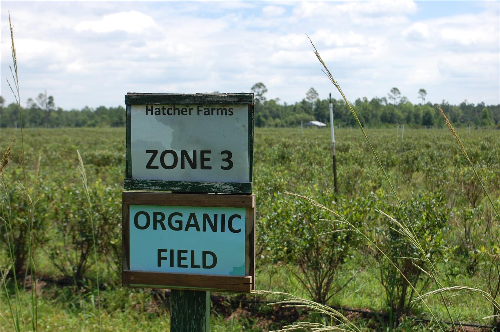 Image 84 of 91 For 18811 243rd Street