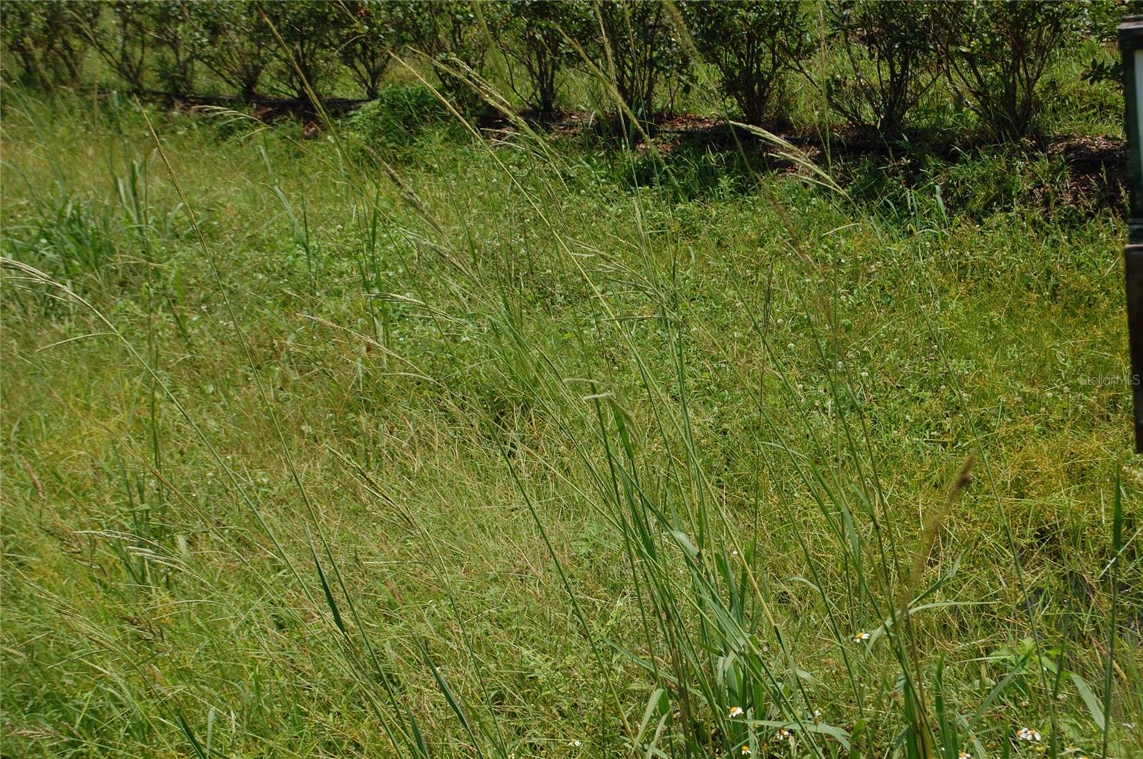 Image 85 of 91 For 18811 243rd Street