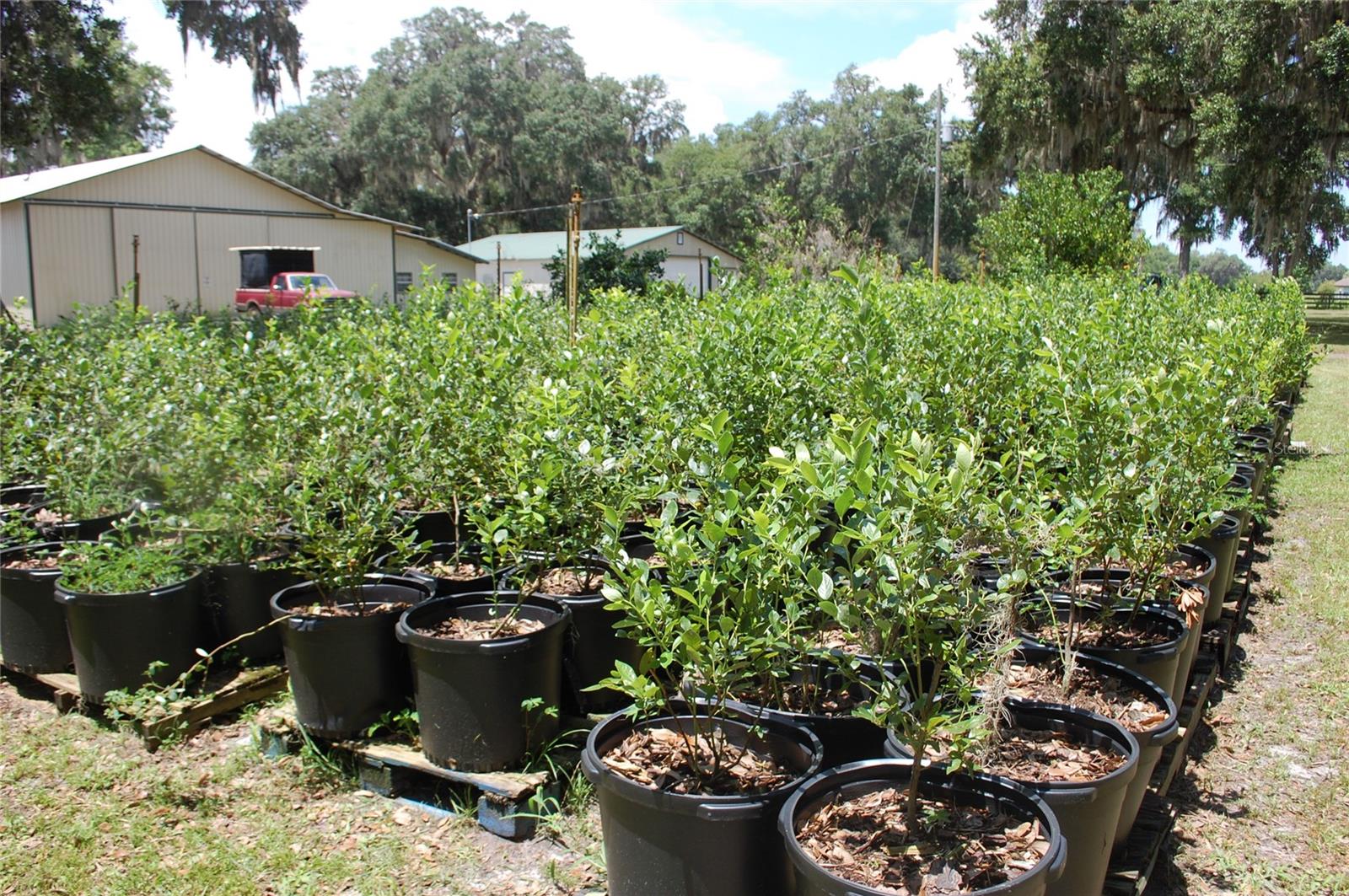 Image 87 of 91 For 18811 243rd Street