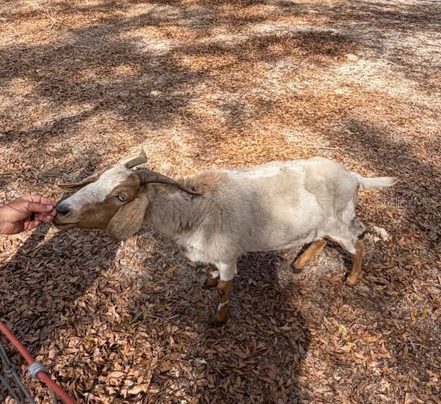 Image 30 of 31 For 357 Conestoga Way