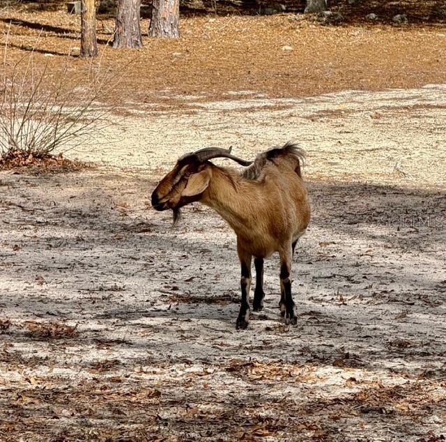 Image 31 of 31 For 357 Conestoga Way