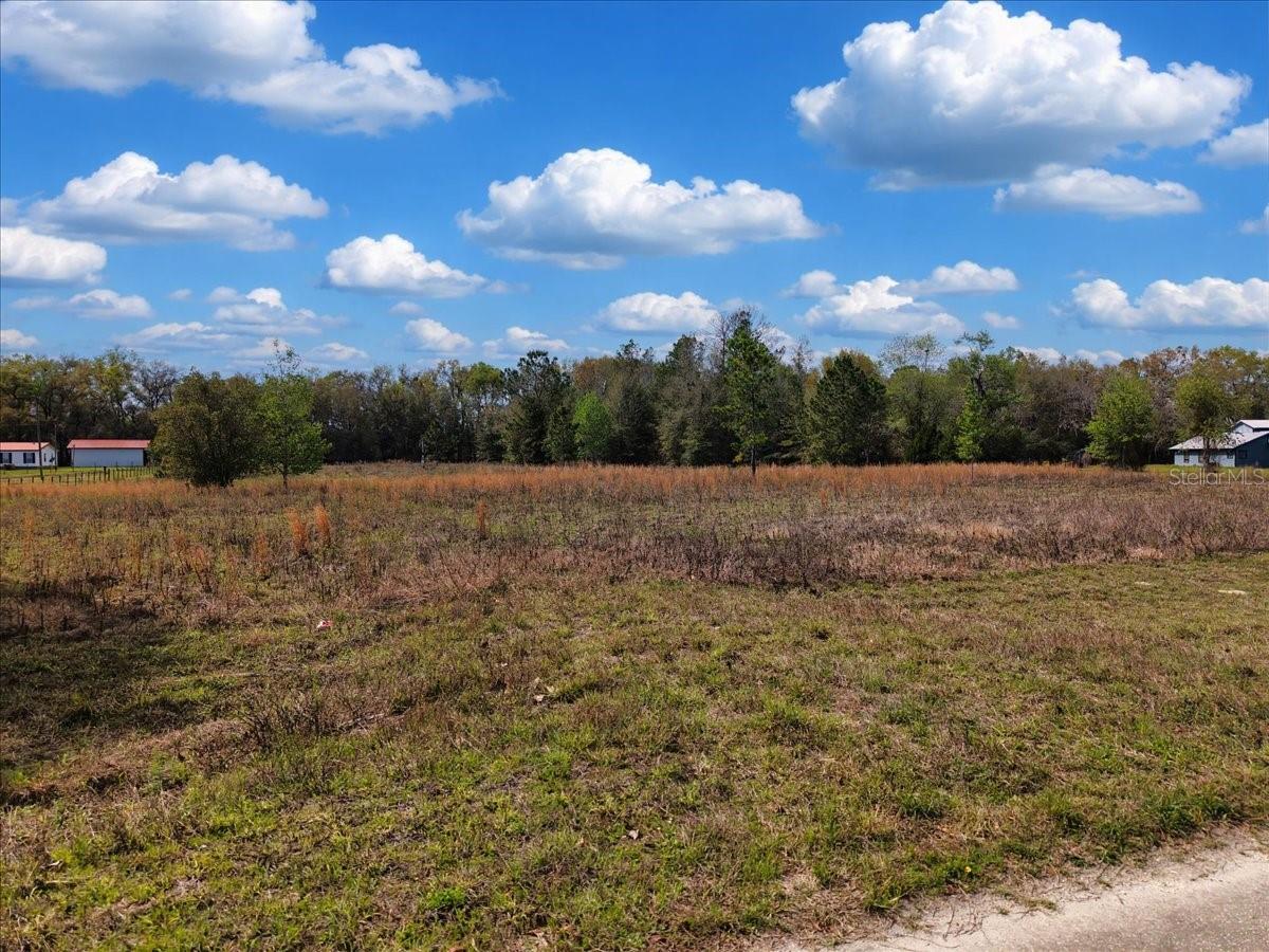 Image 3 of 15 For 17350 1st Avenue