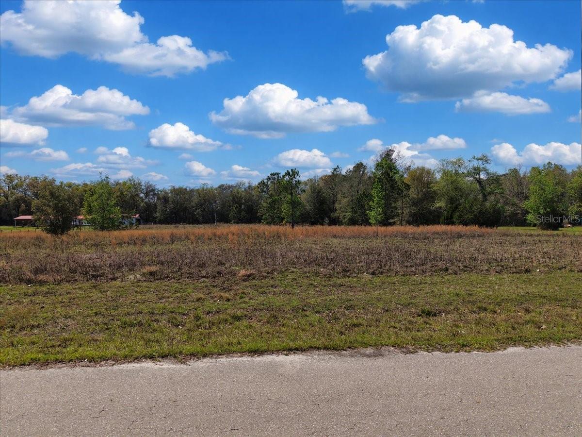 Image 4 of 15 For 17350 1st Avenue