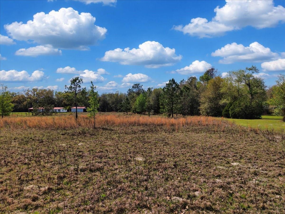 Image 5 of 15 For 17350 1st Avenue