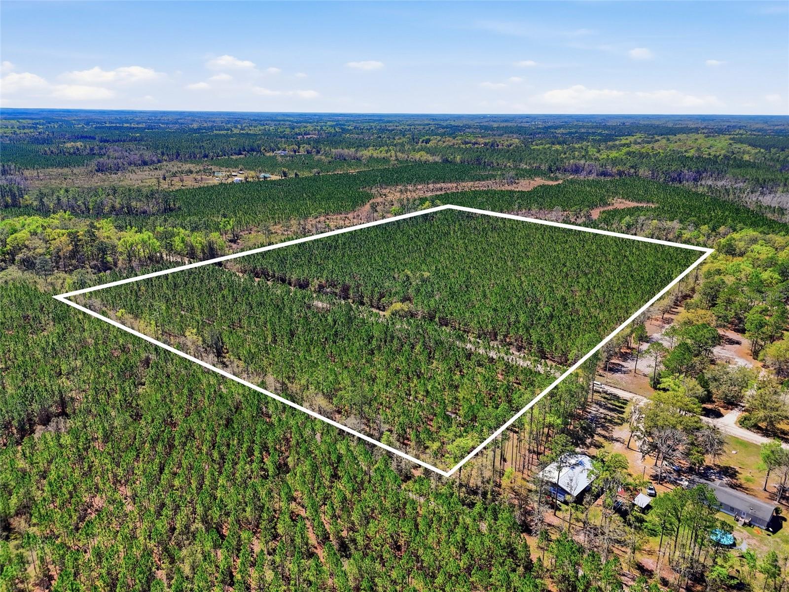 Details for Tbd Pounds Hammock Road, LAKE CITY, FL 32025