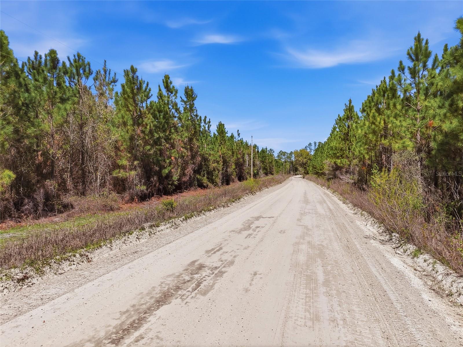 Image 10 of 10 For Tbd Pounds Hammock Road