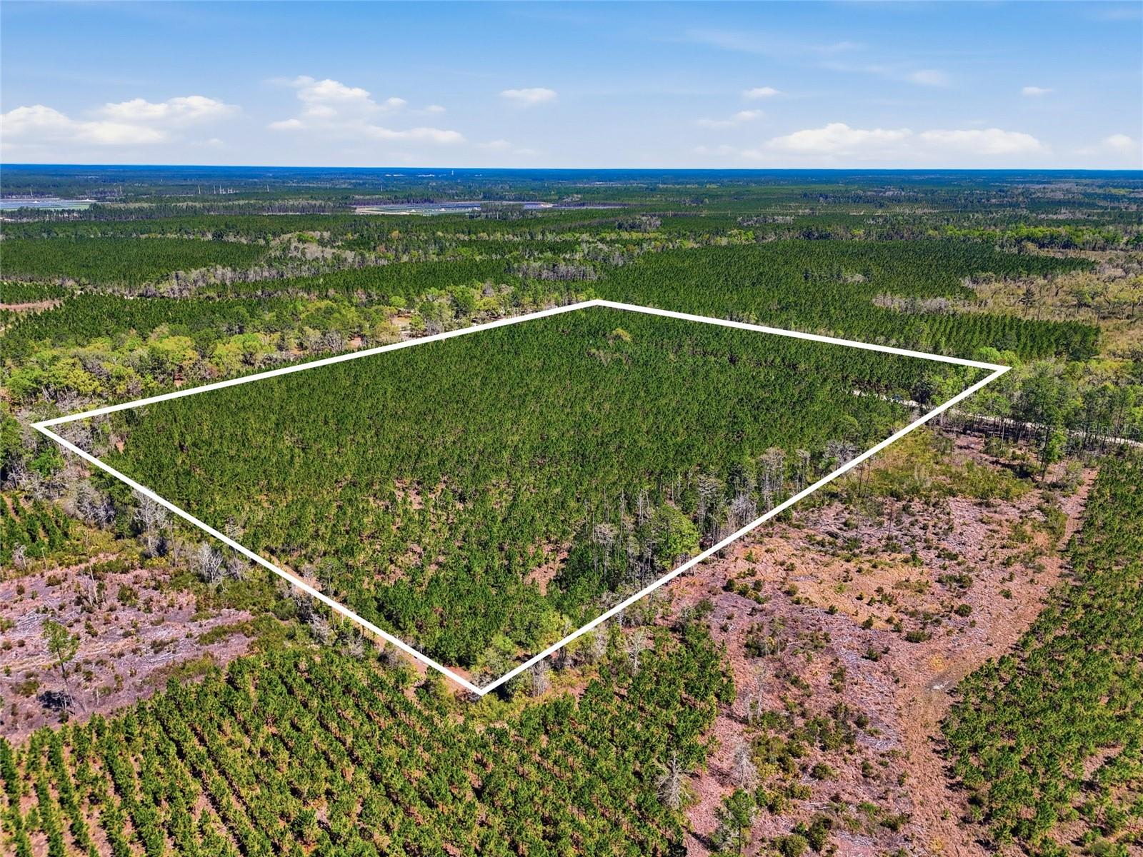 Image 3 of 10 For Tbd Pounds Hammock Road