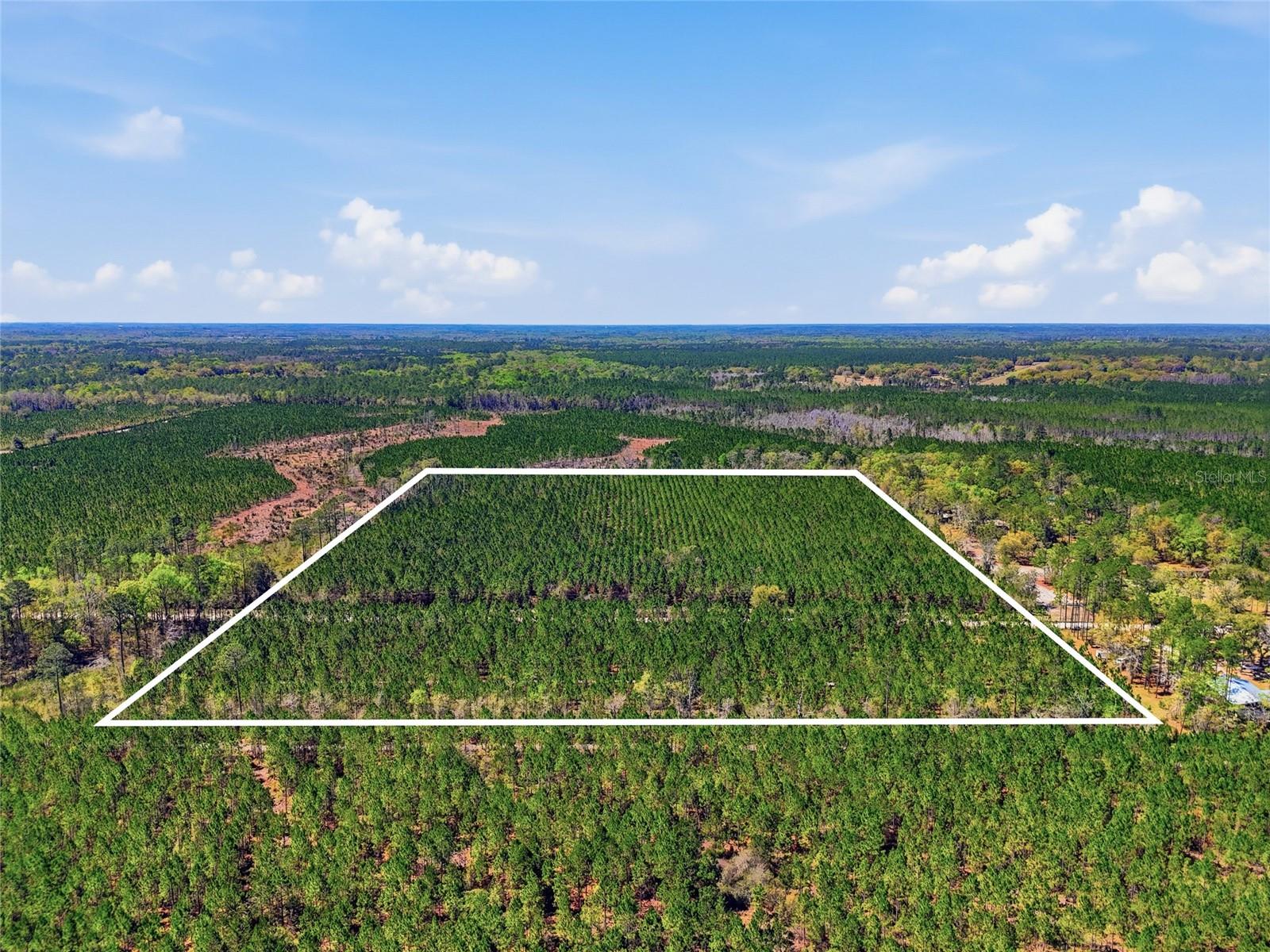 Image 6 of 10 For Tbd Pounds Hammock Road