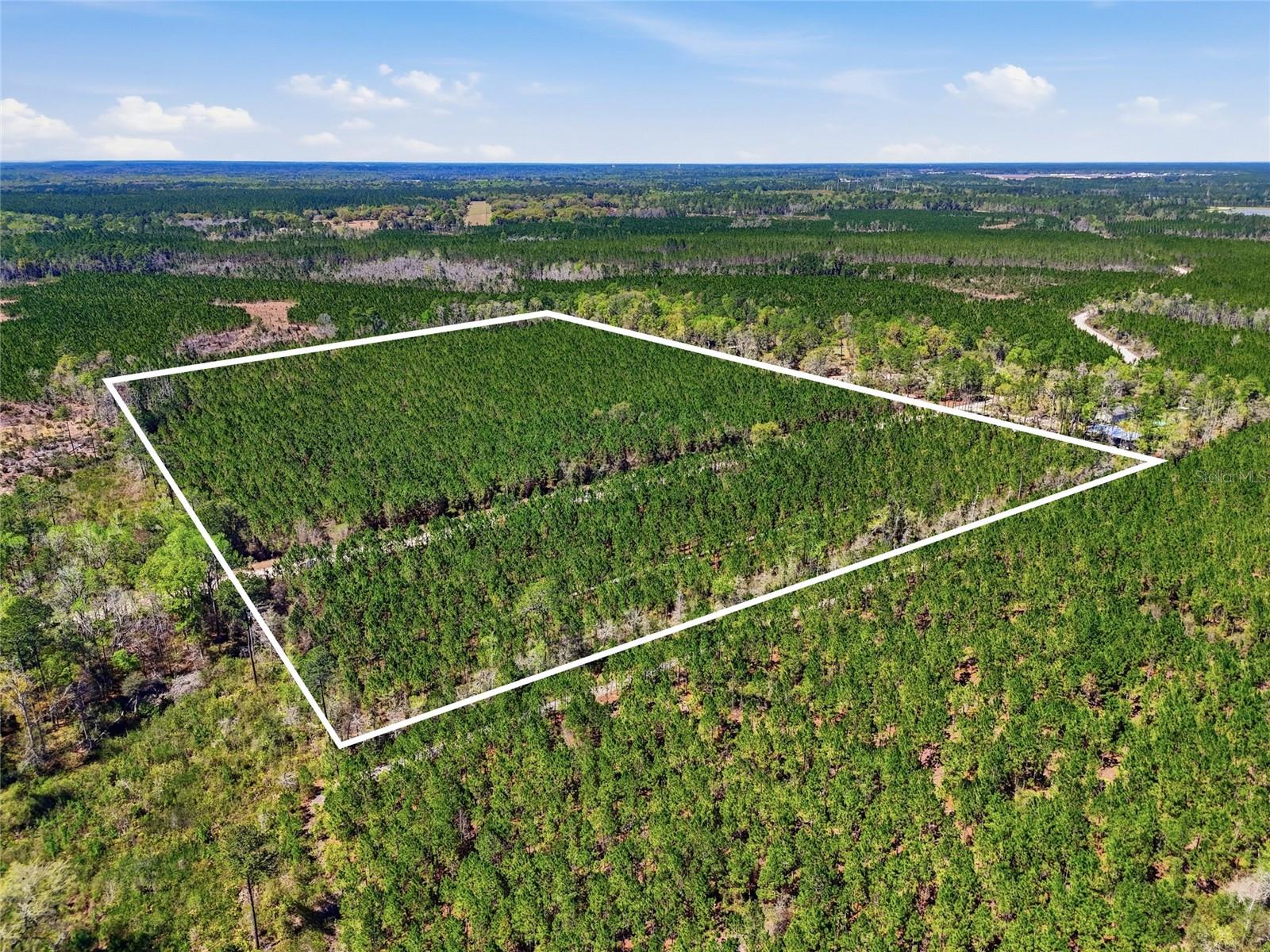 Image 7 of 10 For Tbd Pounds Hammock Road