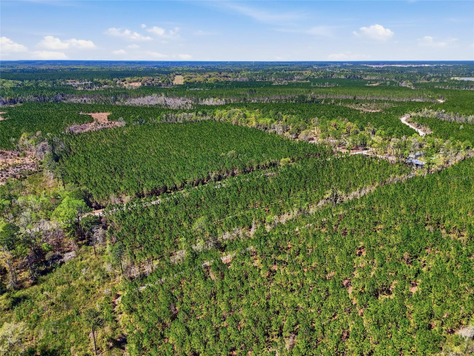 Image 8 of 10 For Tbd Pounds Hammock Road