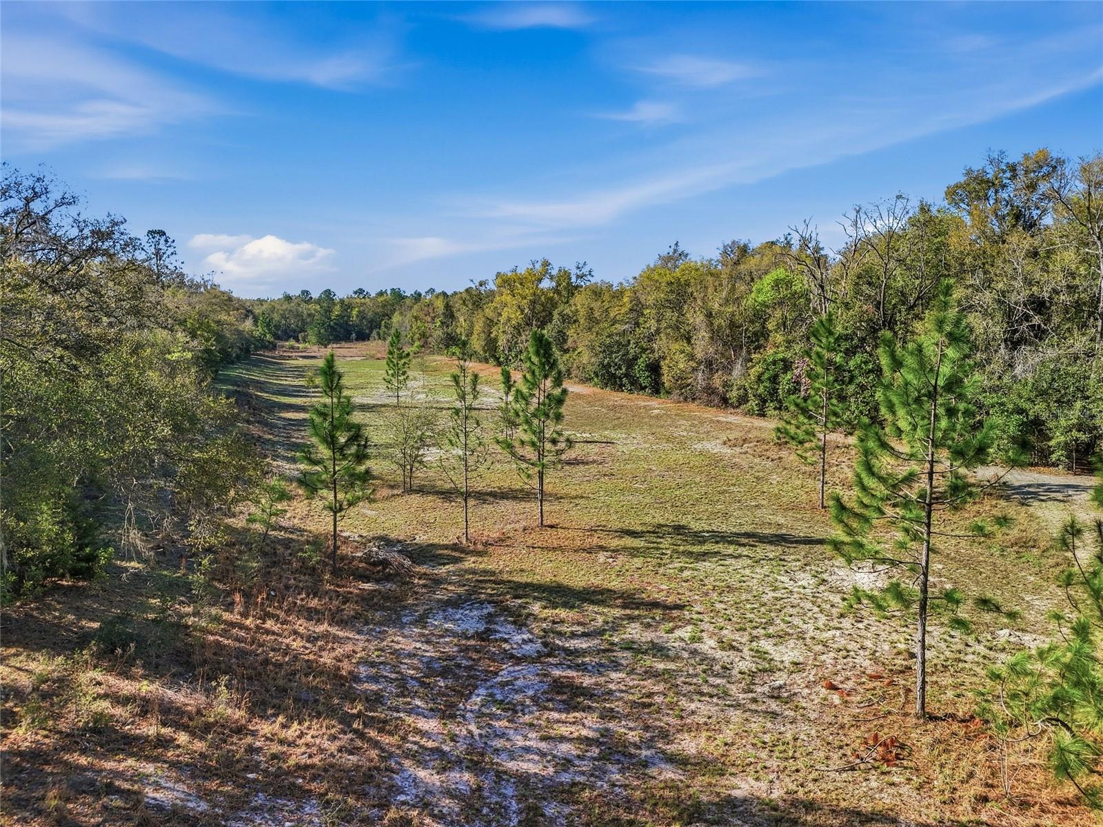 Image 34 of 44 For 8920 8th Place