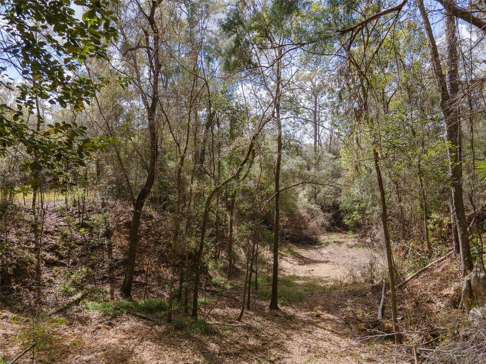 Image 20 of 22 For 12890 107th Avenue