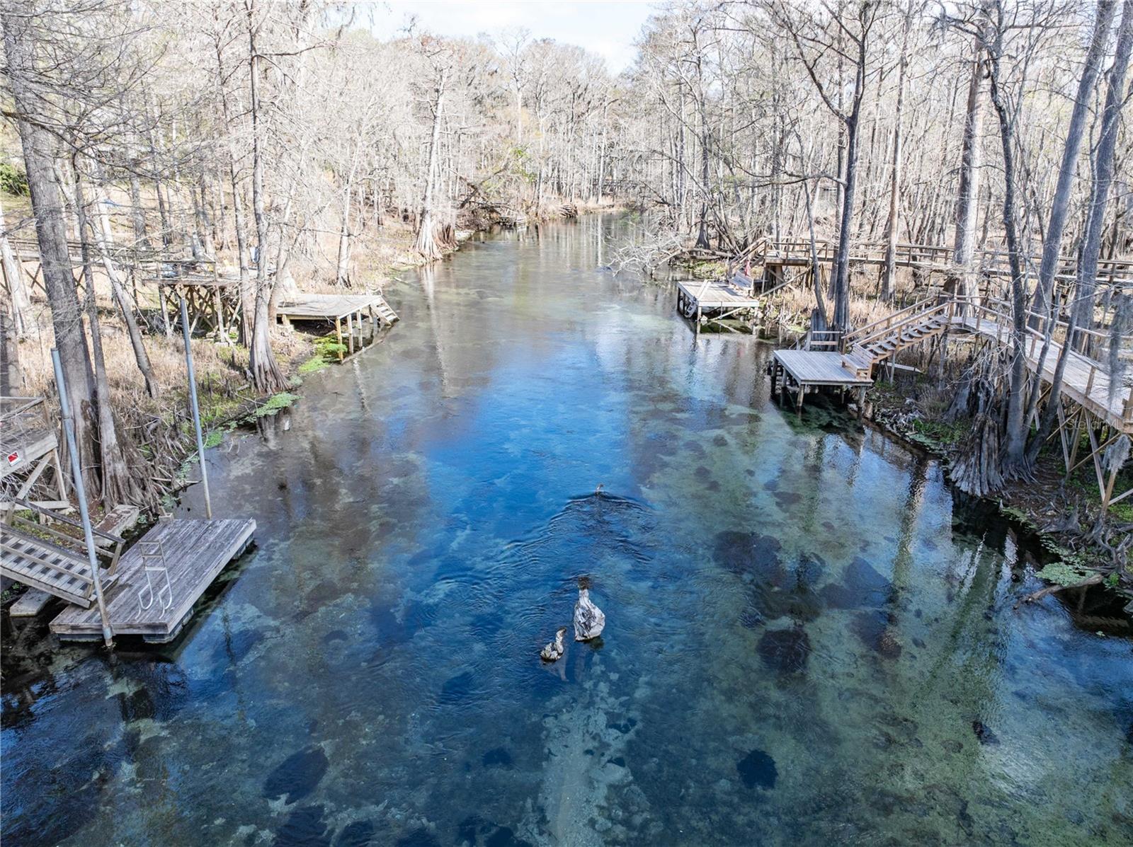 Listing photo id 30 for 1376 Riverside Avenue