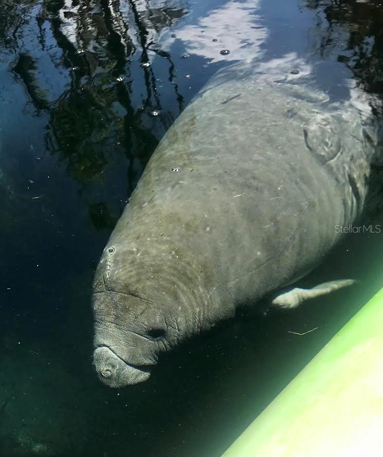 Listing photo id 33 for 1376 Riverside Avenue