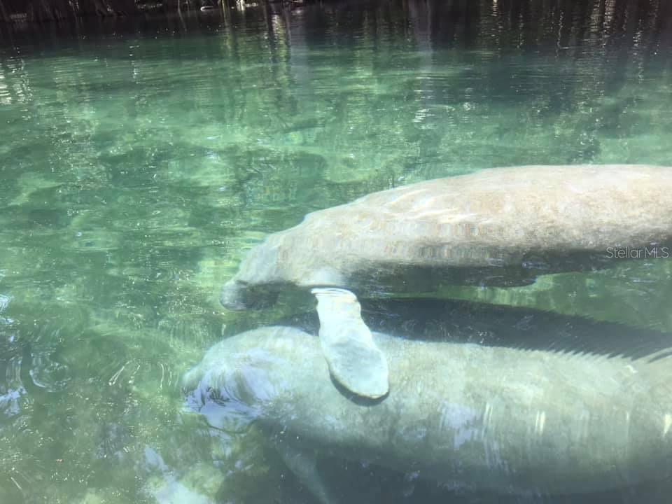 Listing photo id 34 for 1376 Riverside Avenue