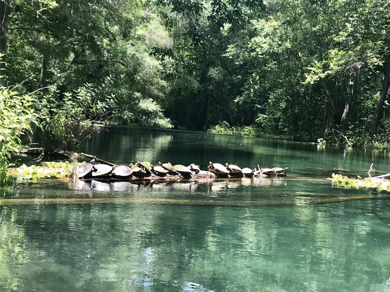 Listing photo id 35 for 1376 Riverside Avenue