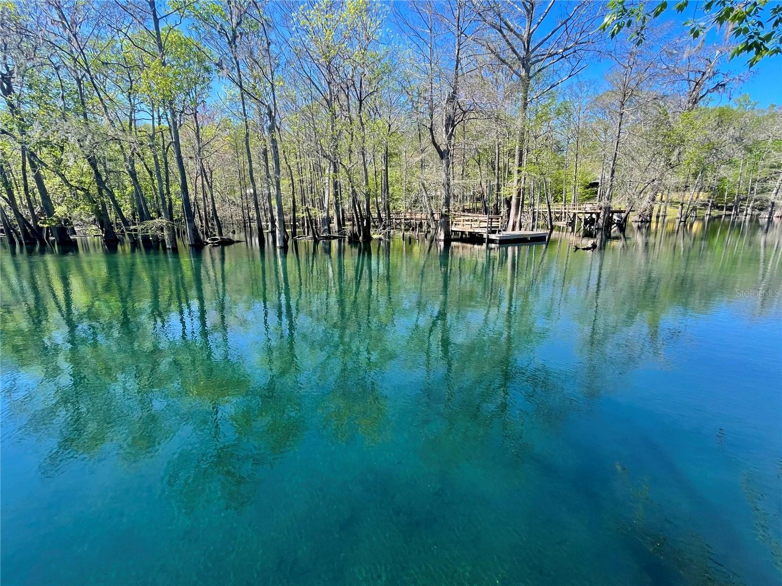 Listing photo id 36 for 1376 Riverside Avenue