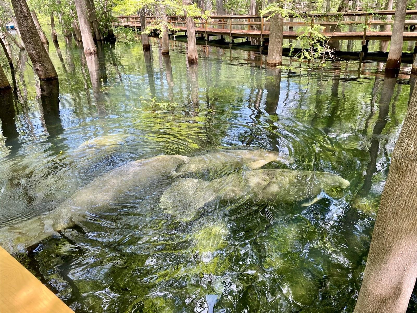 Listing photo id 37 for 1376 Riverside Avenue