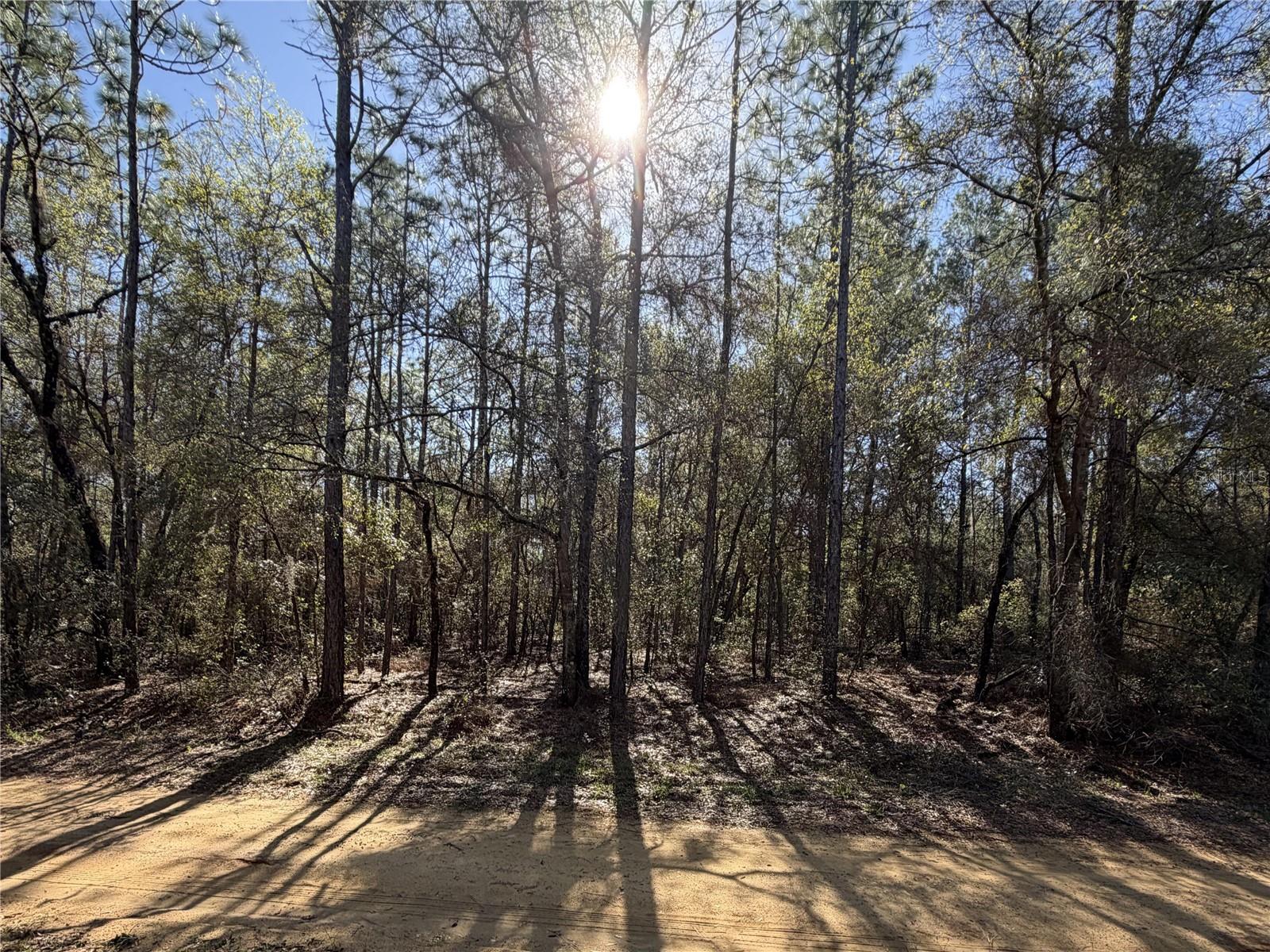 Details for  7th Avenue , INTERLACHEN, FL 32148