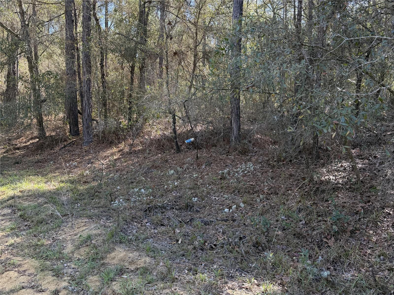 Image 2 of 3 For  7th Avenue 