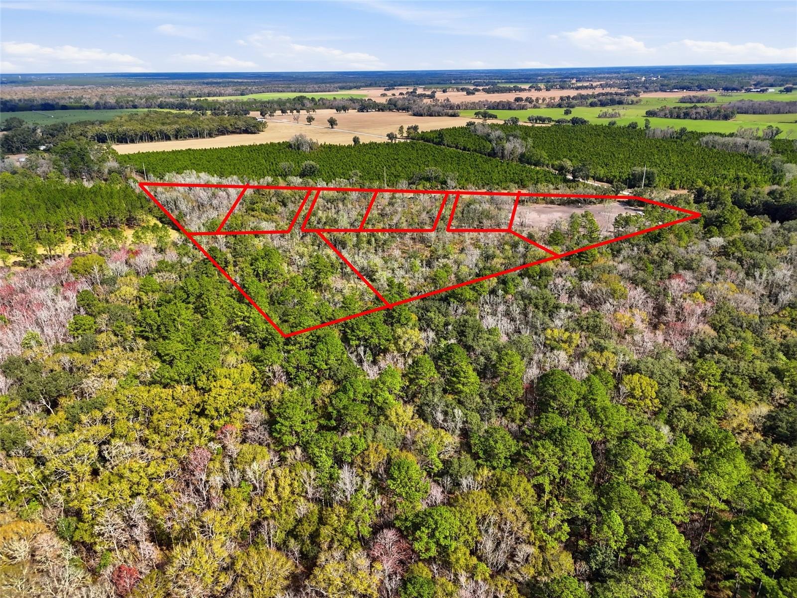 Image 5 of 13 For 20994 County Road 18  Lot 4