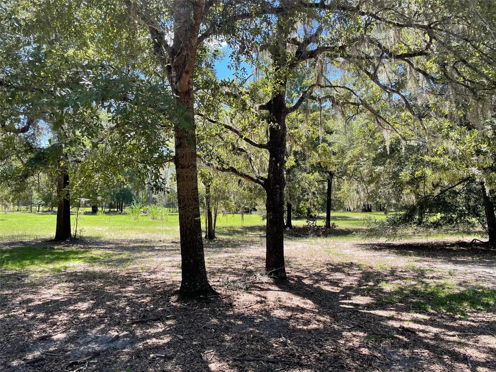 Image 4 of 6 For 51 Avenue Ne