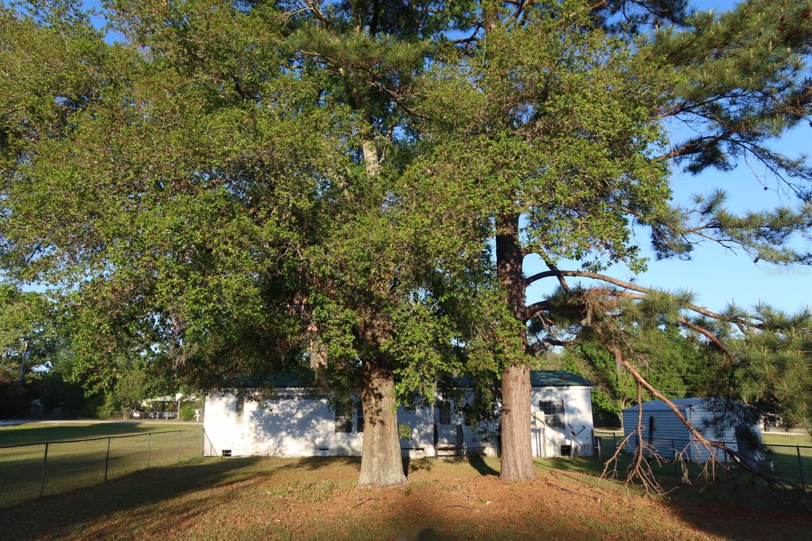 Image 31 of 37 For 262 Lynnwood Avenue