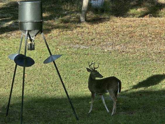 Image 33 of 51 For 4250 81st Lane