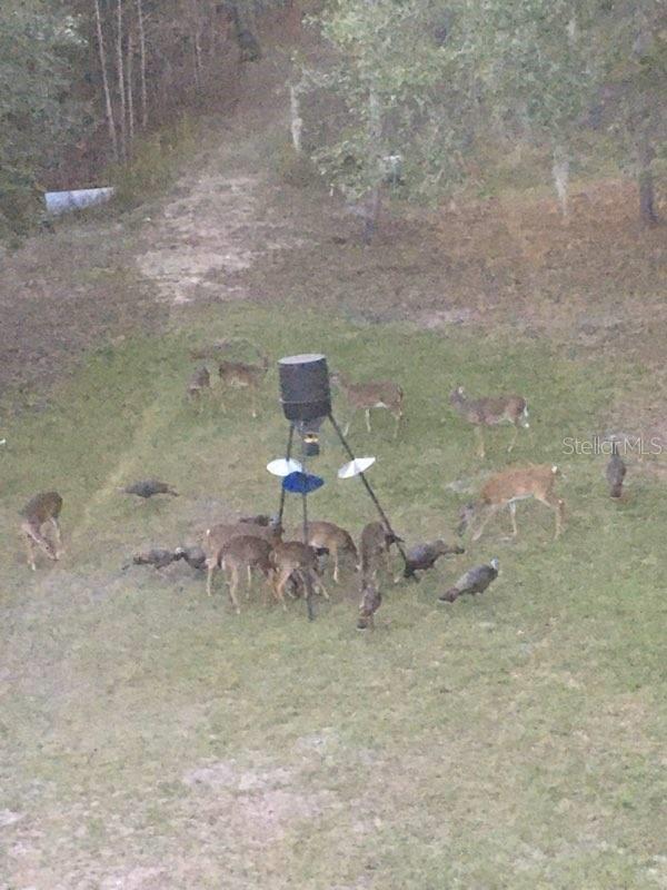 Image 50 of 51 For 4250 81st Lane