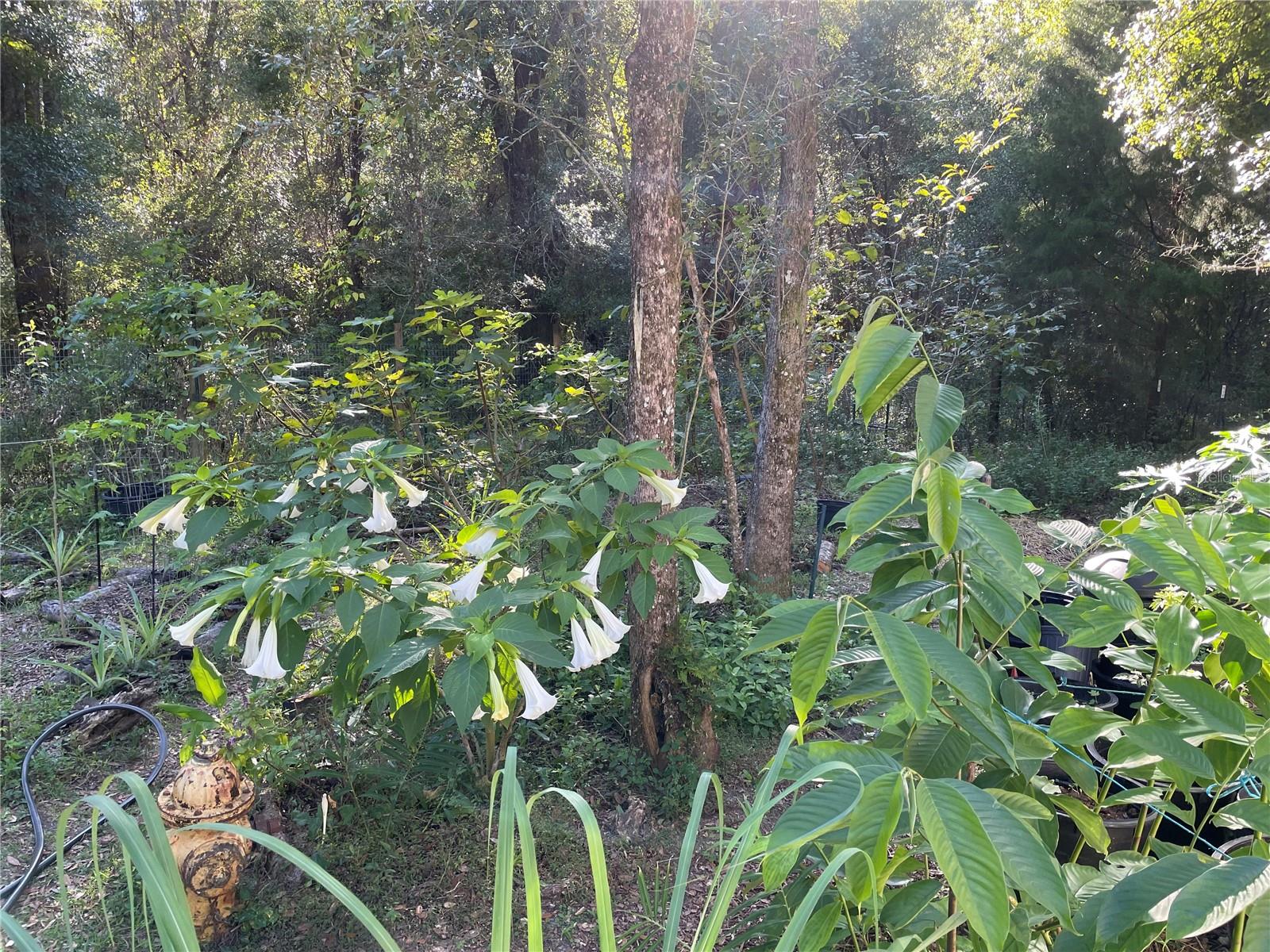 Image 21 of 42 For 14977 County Road 2082