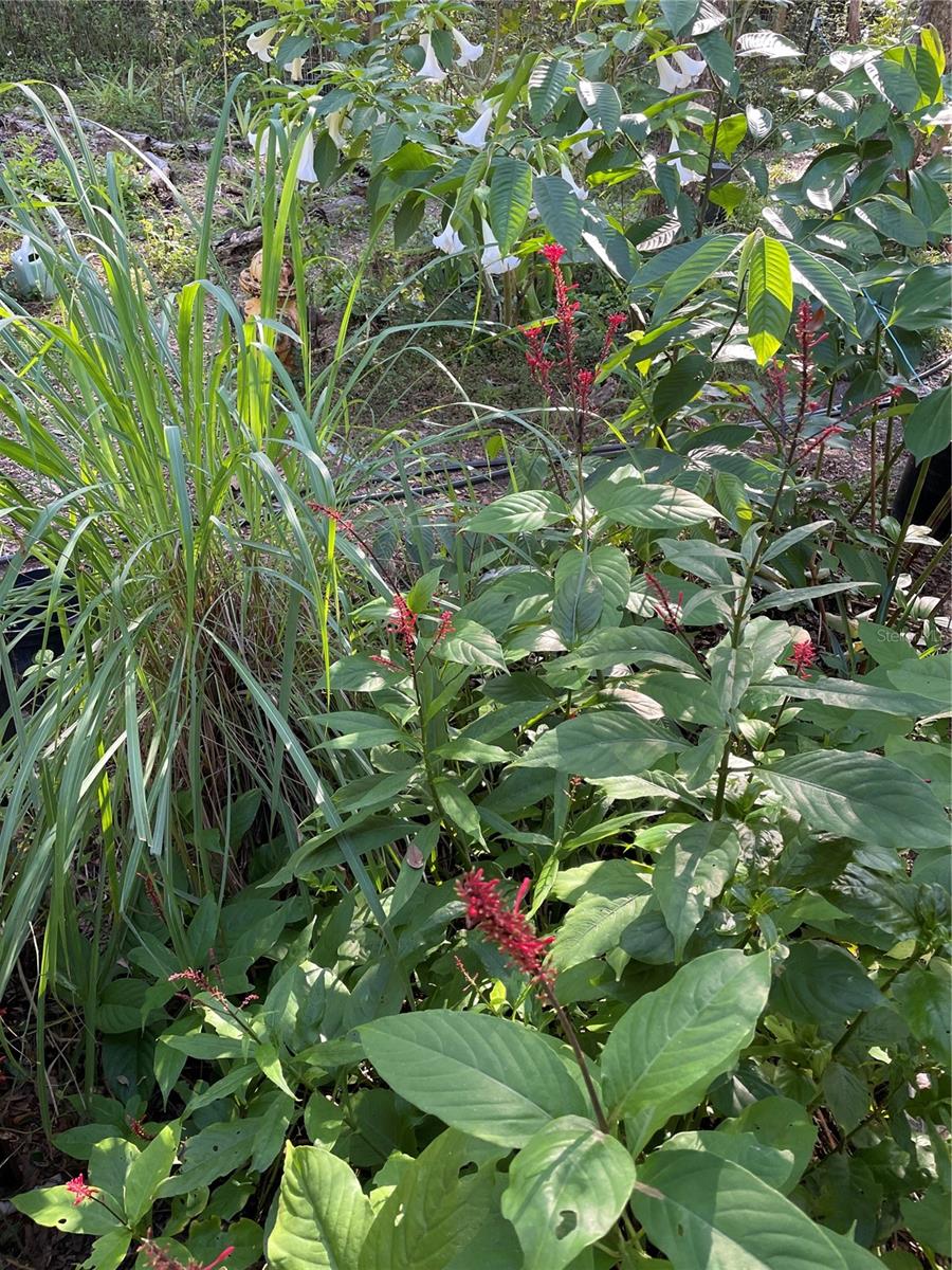 Image 22 of 42 For 14977 County Road 2082