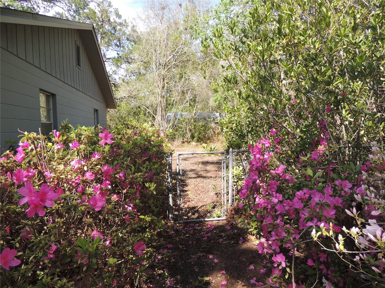 Image 18 of 25 For 2920 54th Avenue