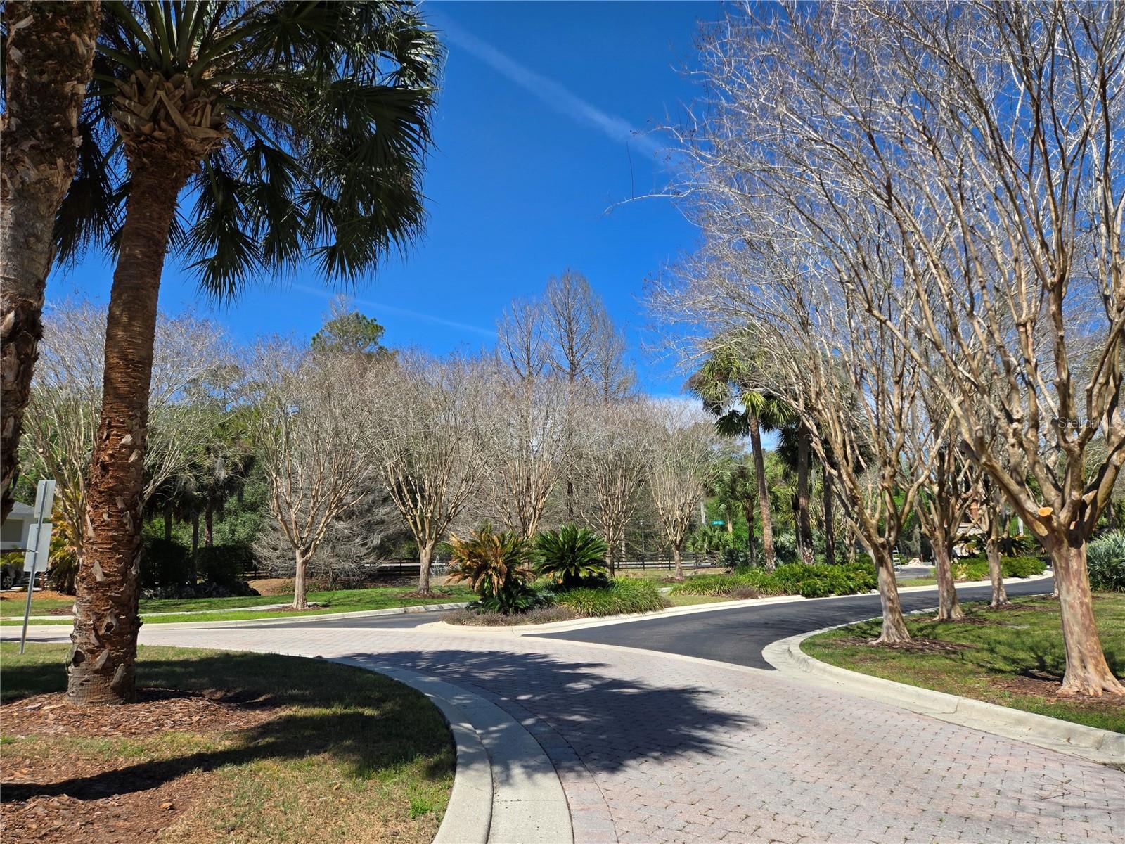 Image 3 of 59 For 6714 40th Terrace