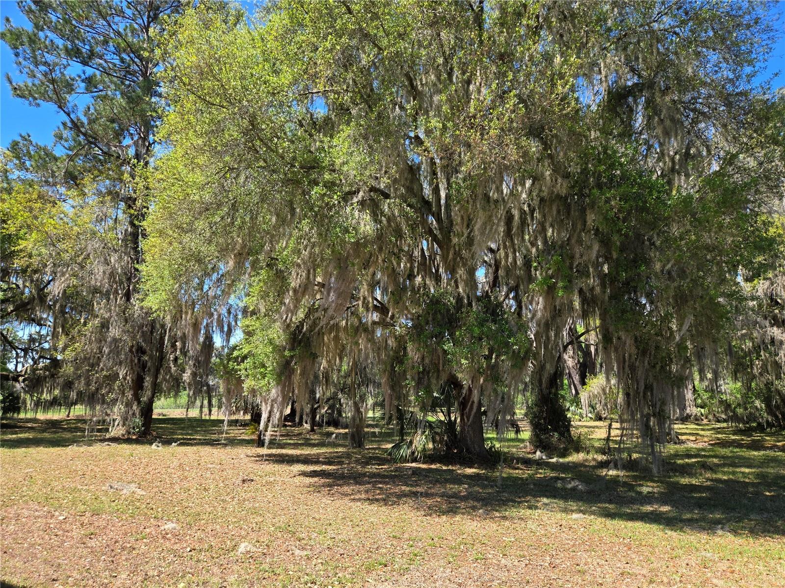 Image 56 of 59 For 6714 40th Terrace