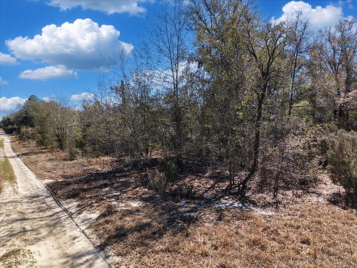 Image 13 of 17 For  126th St  