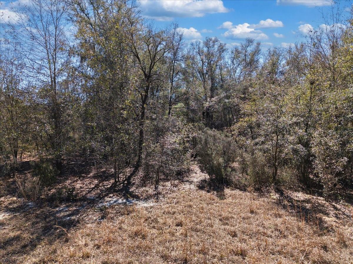 Image 14 of 17 For  126th St  