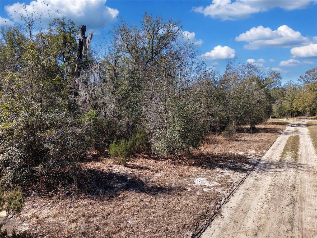 Image 16 of 17 For  126th St  