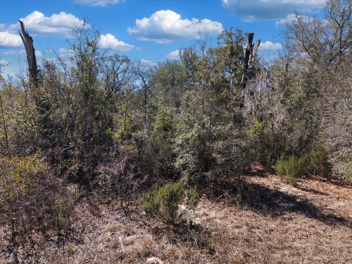 Image 17 of 17 For  126th St  