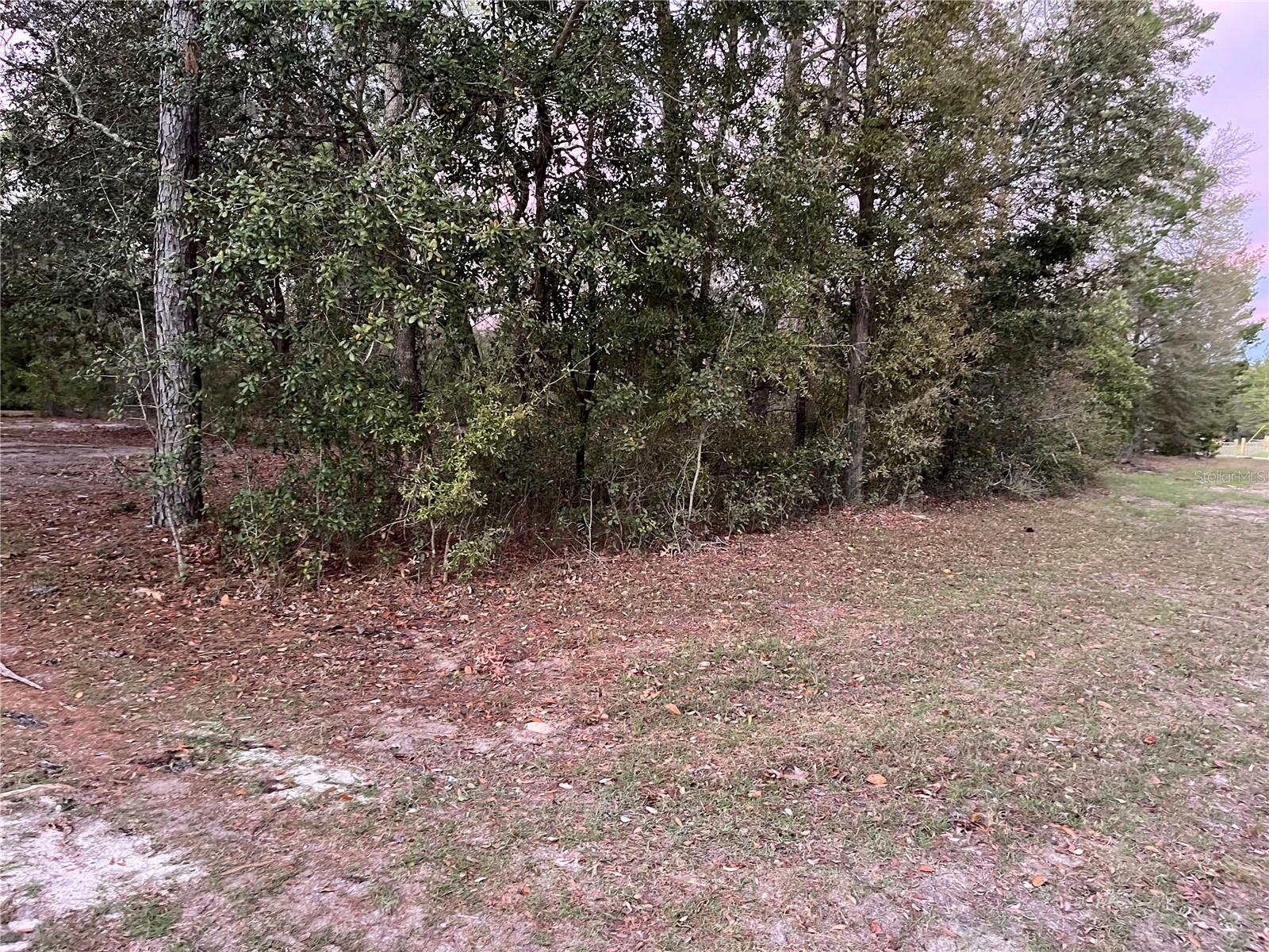 Image 6 of 10 For 262 98th Lane