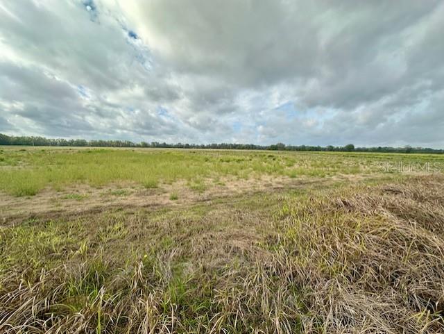 Image 5 of 11 For  80th Street 