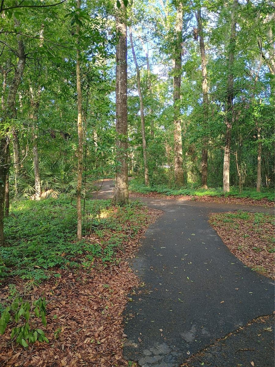 Image 27 of 27 For 10000 52nd Avenue N-77