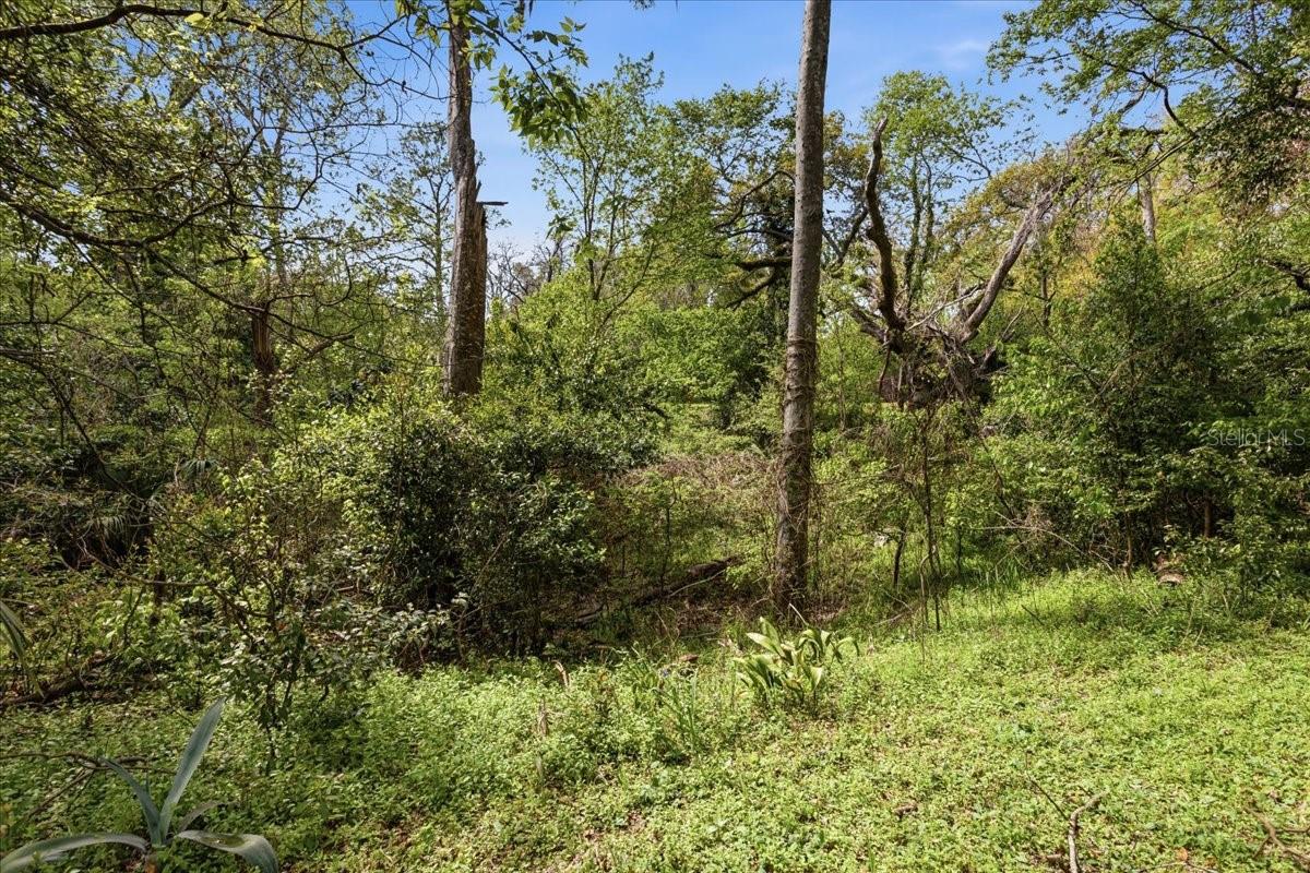 Image 8 of 41 For 18708 242nd Street